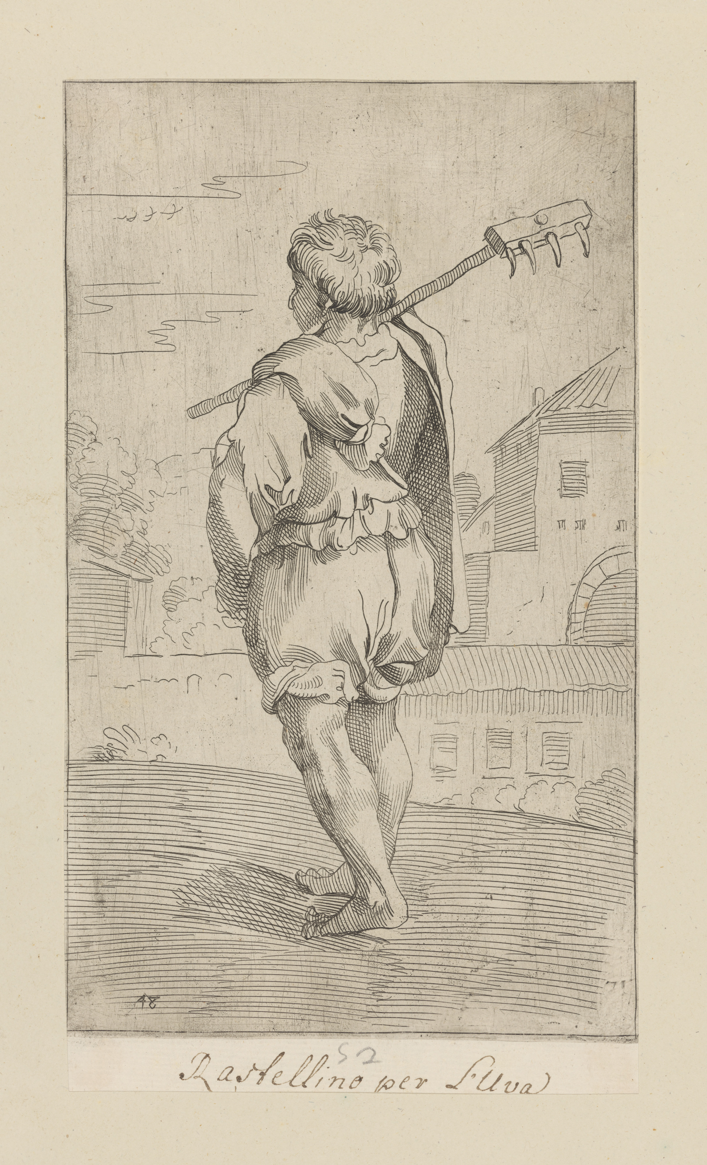 Plate 48: Vineyard raker