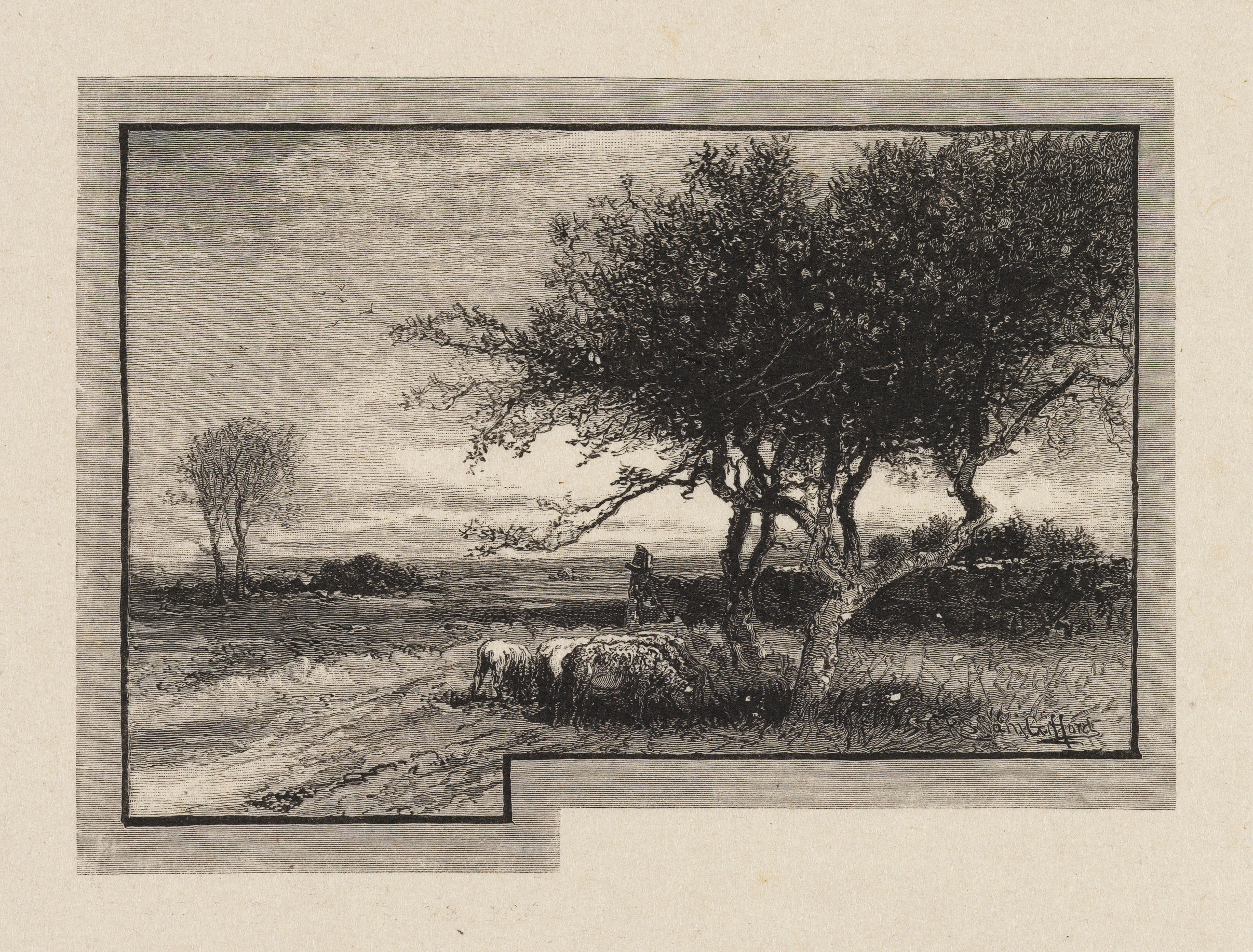 On the Edge of the Orchard