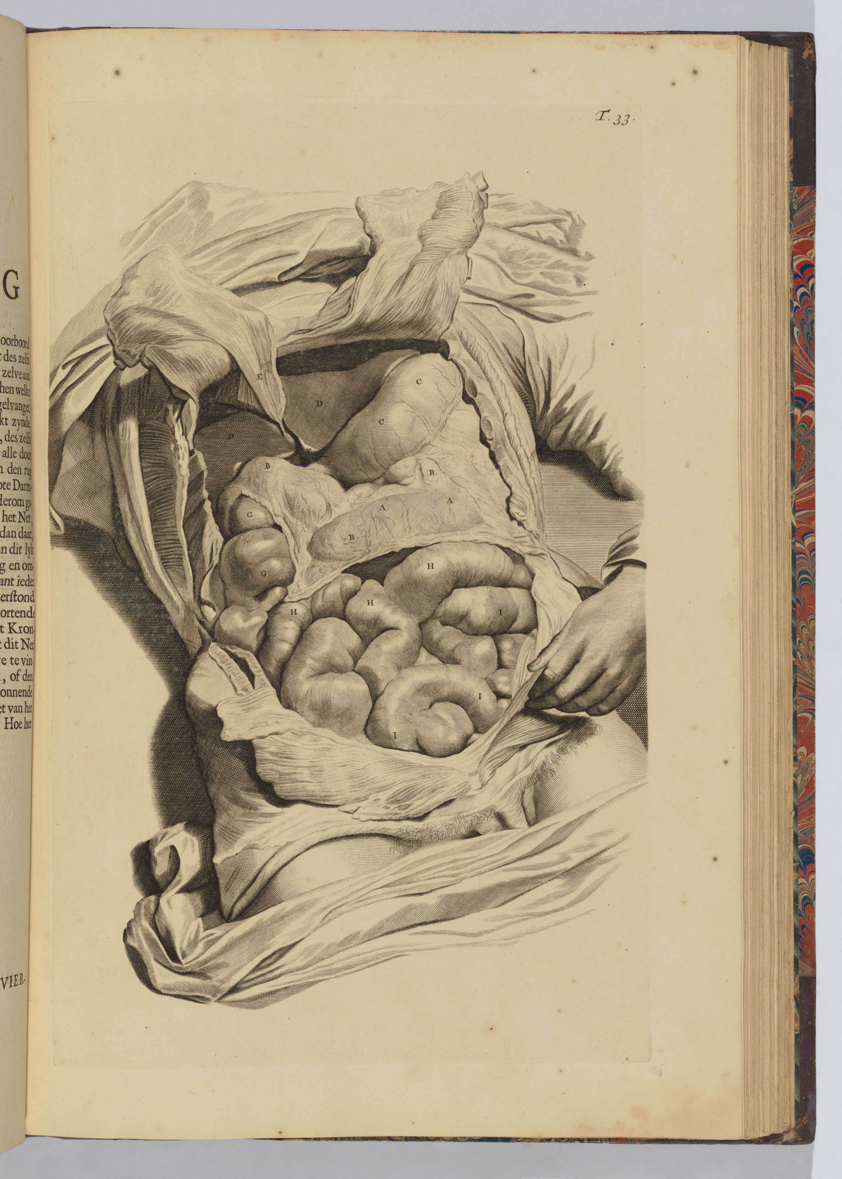 Ontleding des menschelyken lichaams by Govert Bidloo