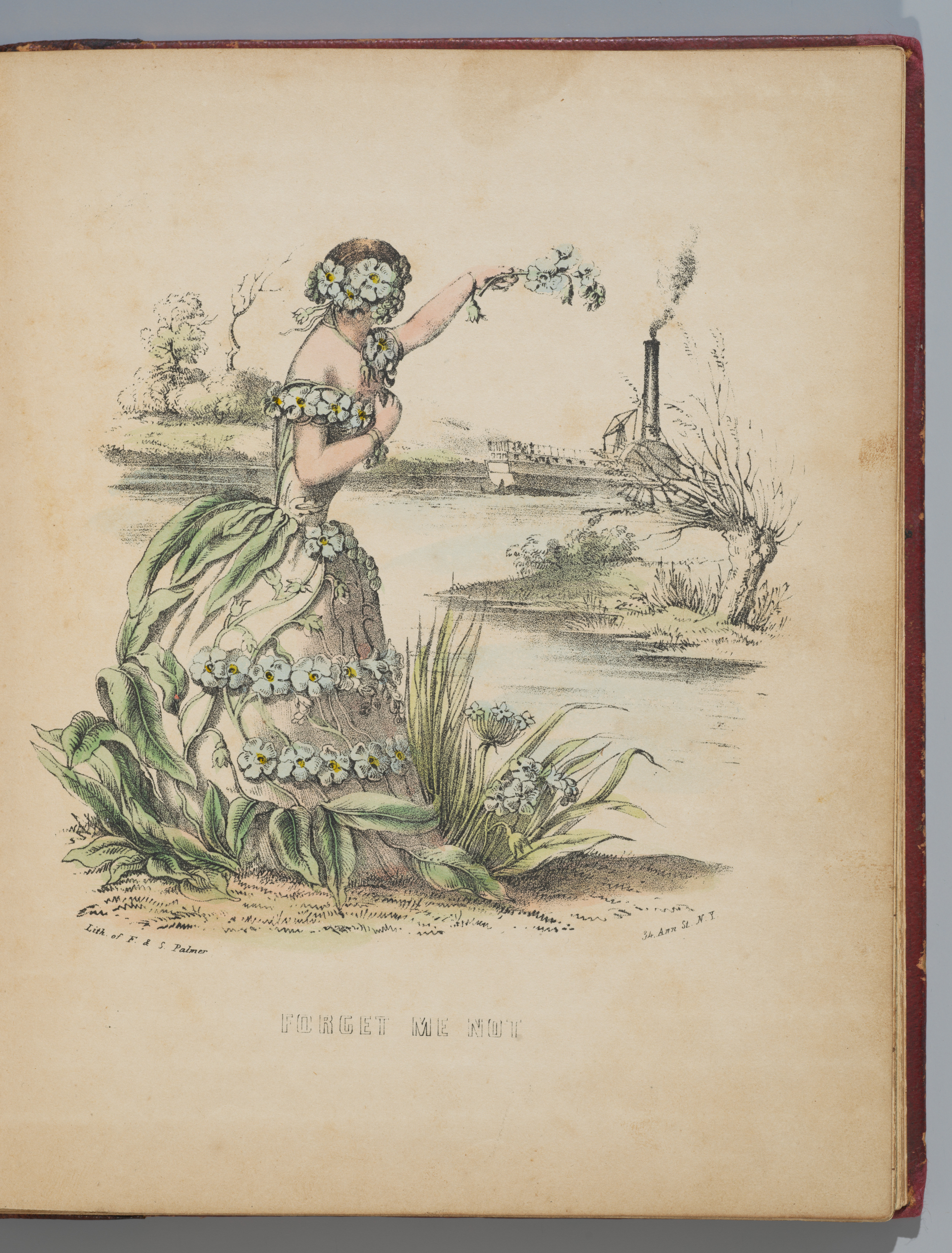 Flower Tokens by Frances Flora Bond Palmer