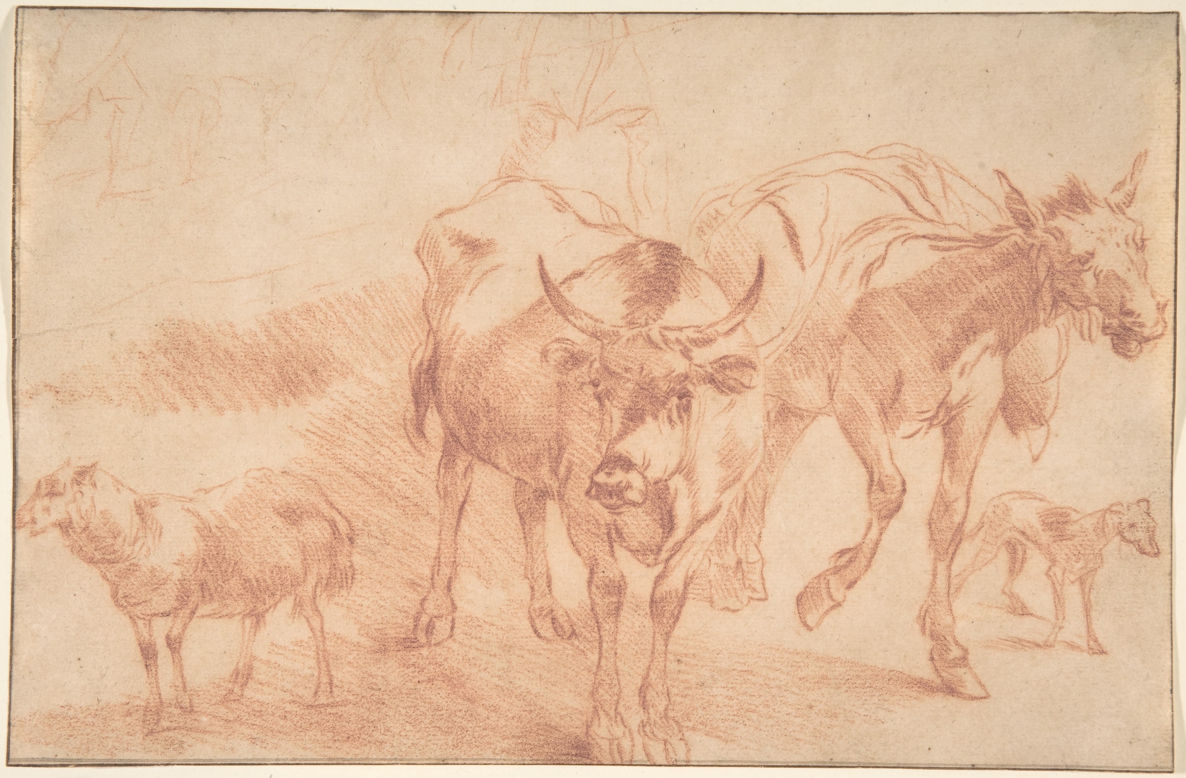 Nicolaes Berchem | Animal Studies | The Metropolitan Museum of Art