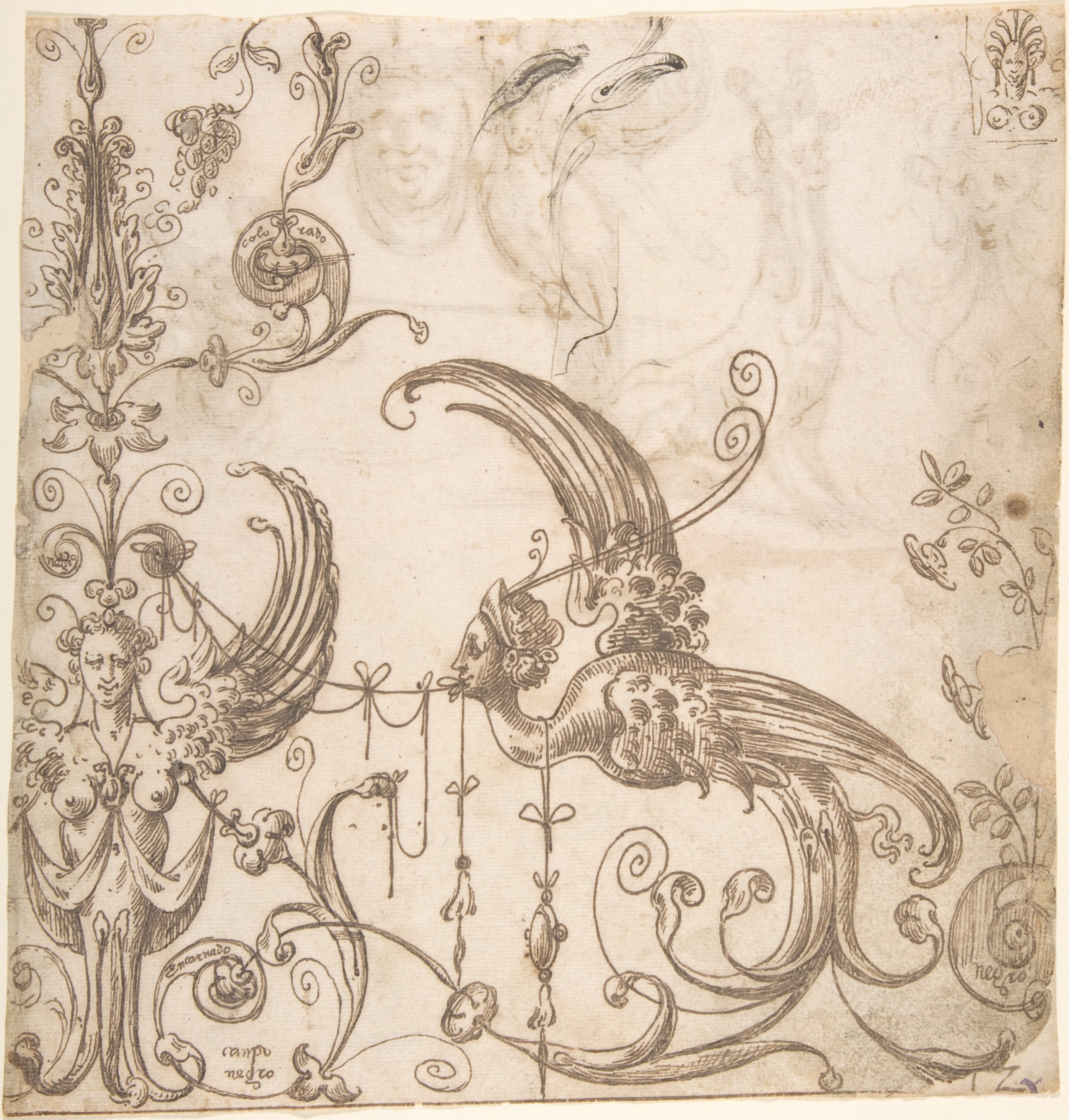 attributed to Andrés de Melgar | Female grotesque and harpy (recto