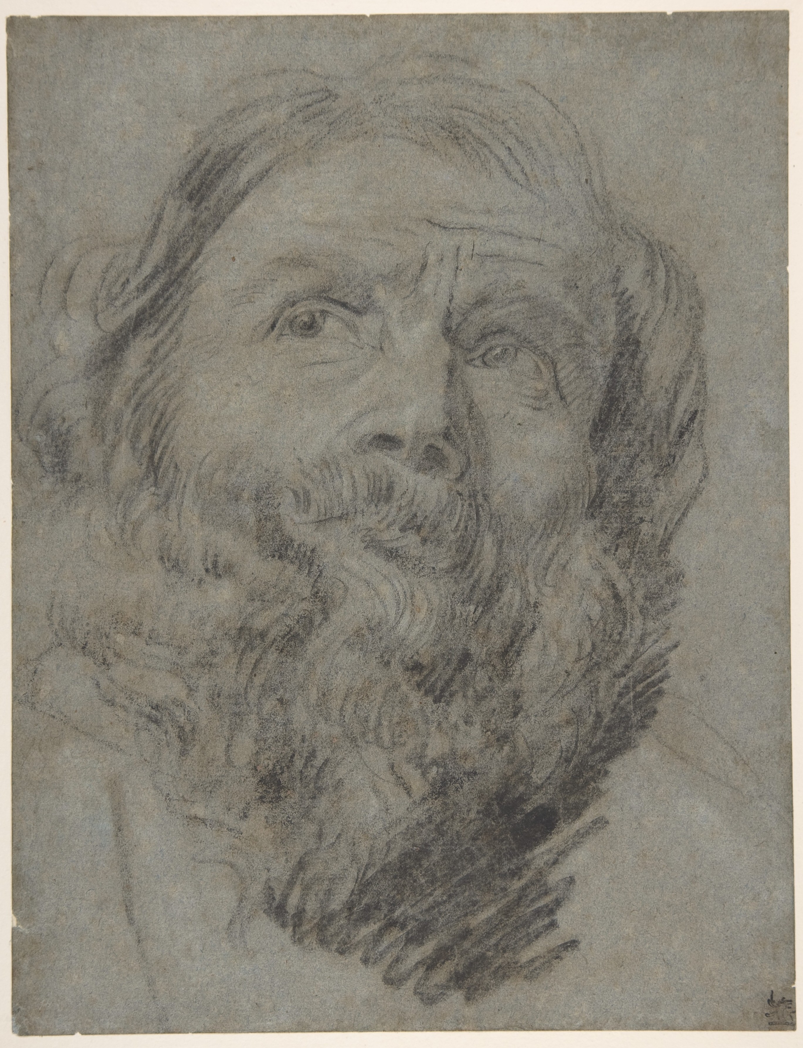 circle of Anthony van Dyck | Head of an Apostle | The Metropolitan ...
