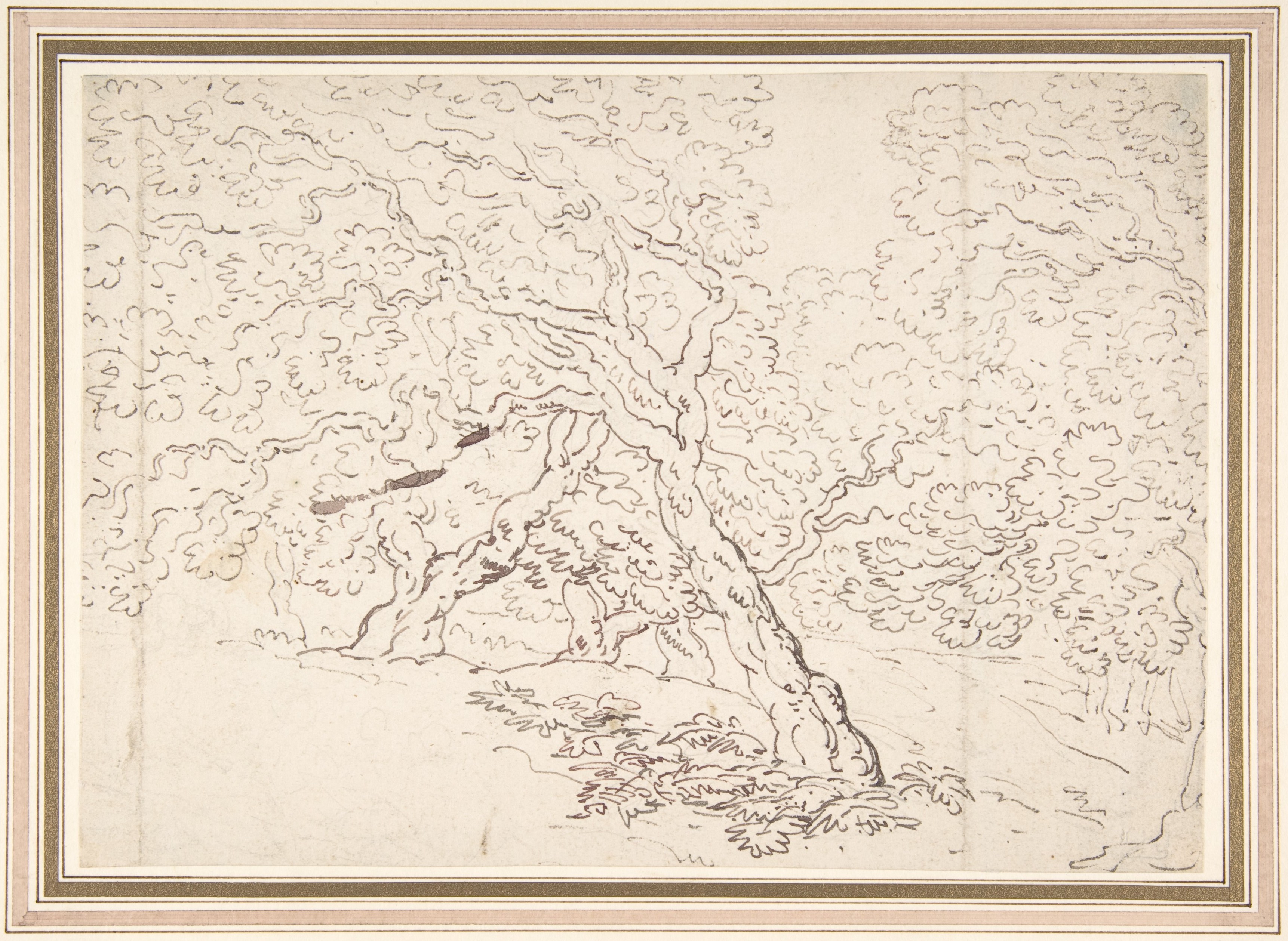 Thomas Rowlandson | Study of trees | The Metropolitan Museum of Art
