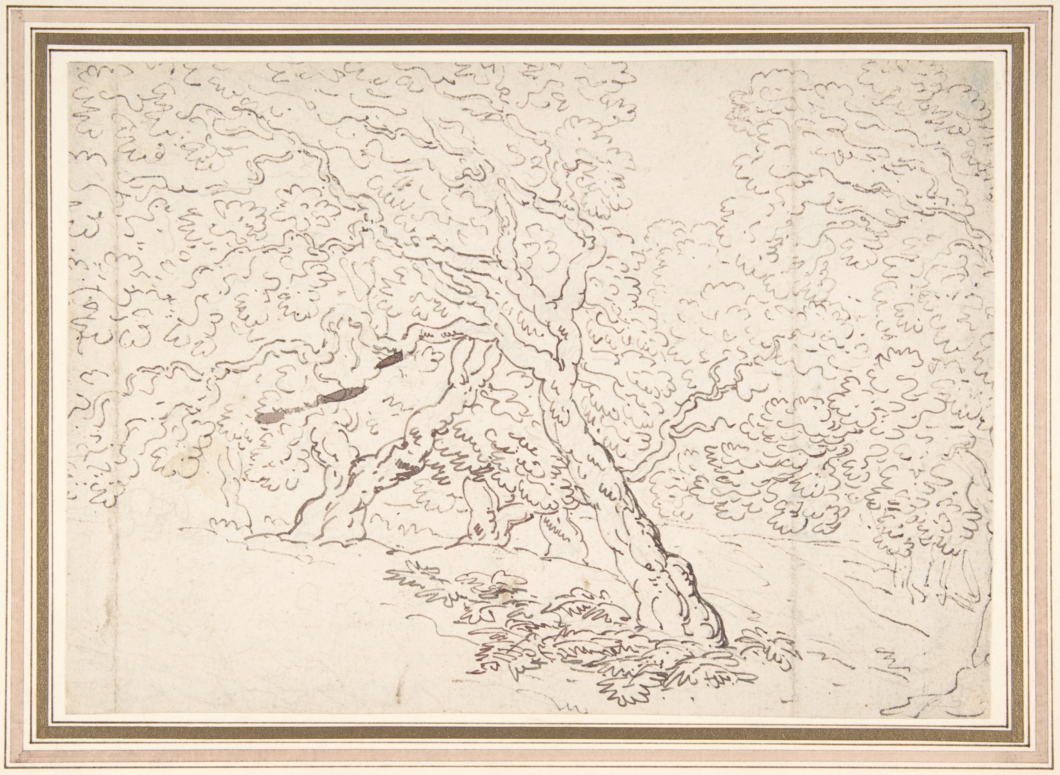 Study of trees