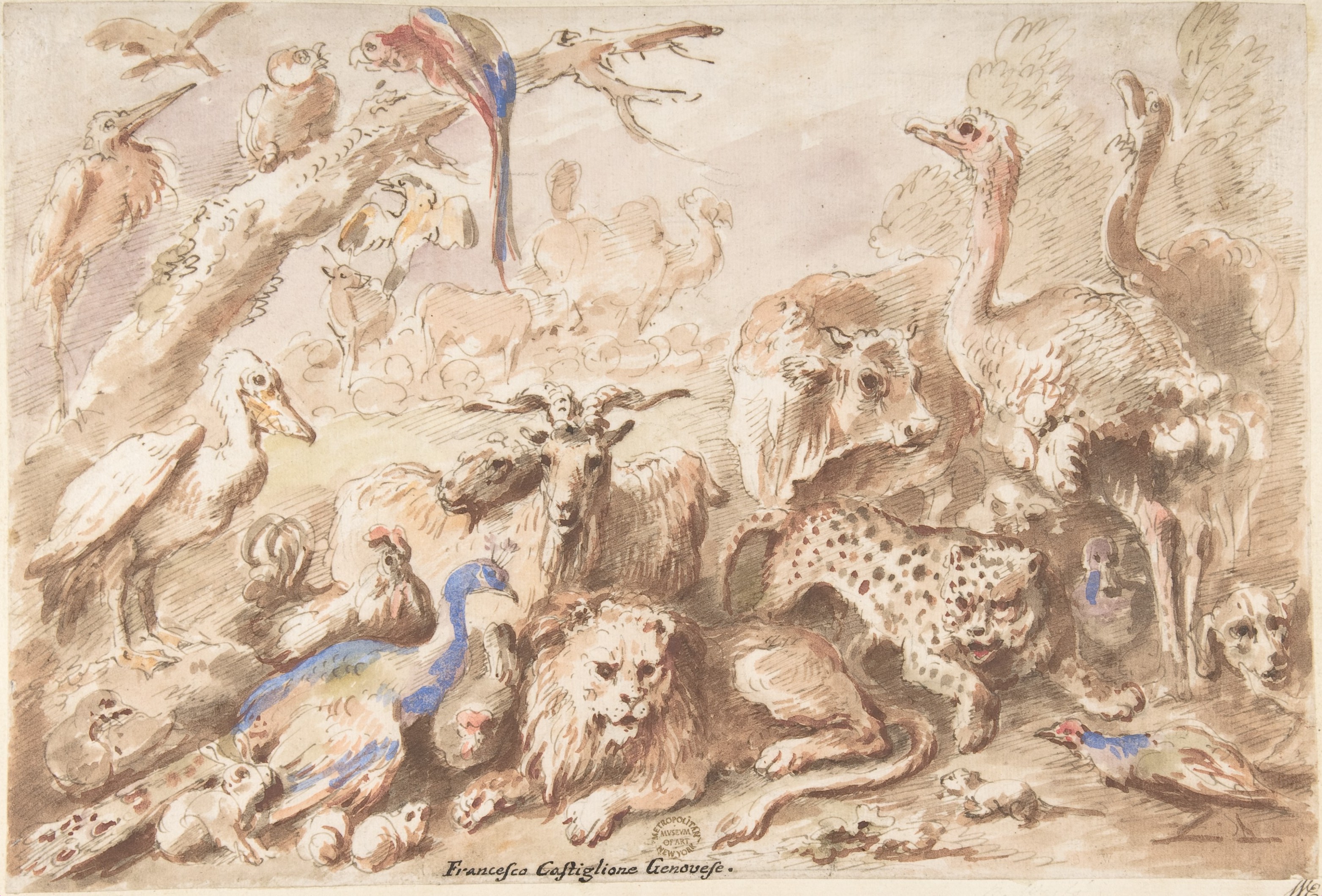 Giovanni Francesco Castiglione | A Congress of Animals | The Metropolitan  Museum of Art