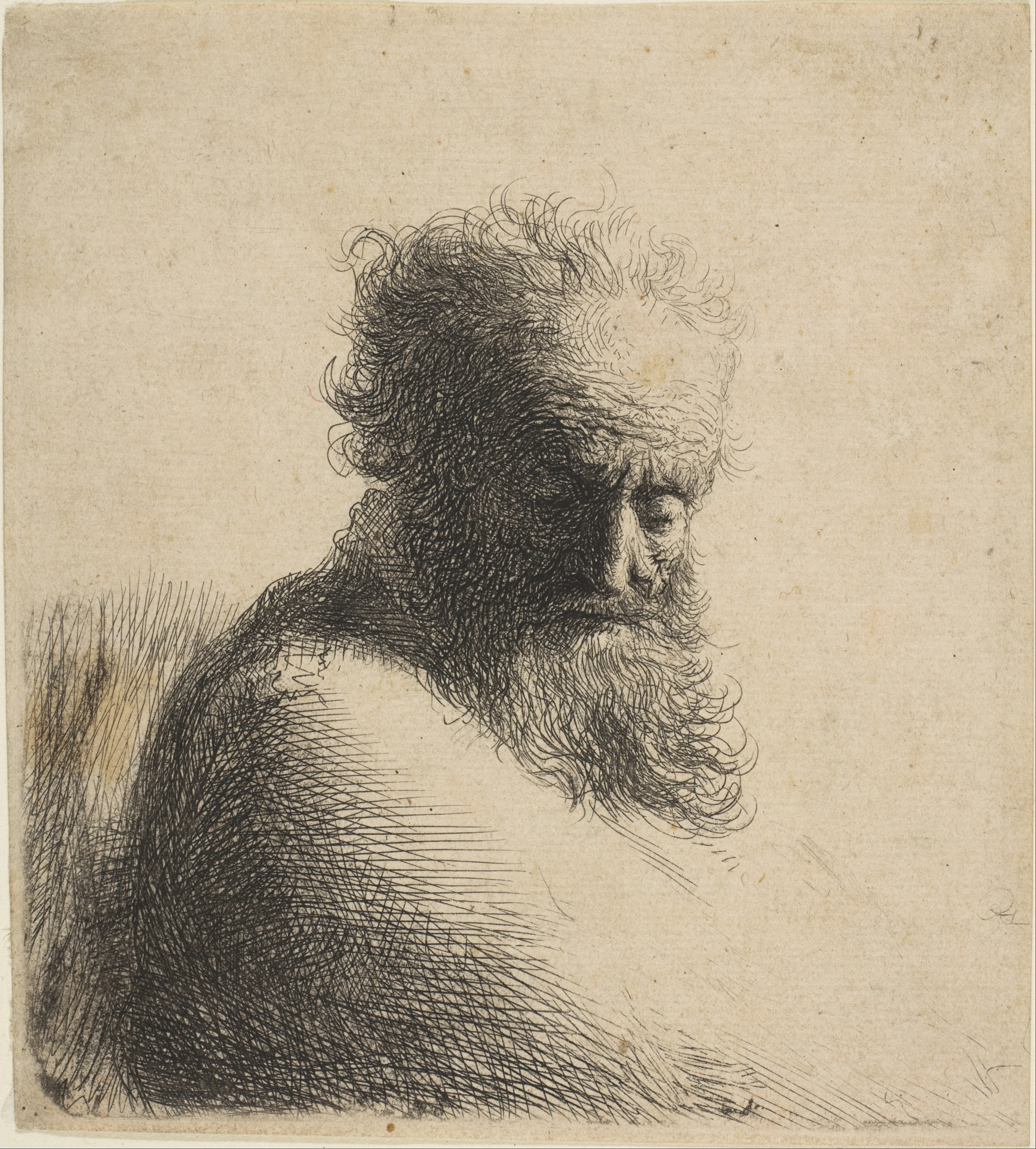 Rembrandt (Rembrandt van Rijn) Bust of an Old Bearded Man Looking
