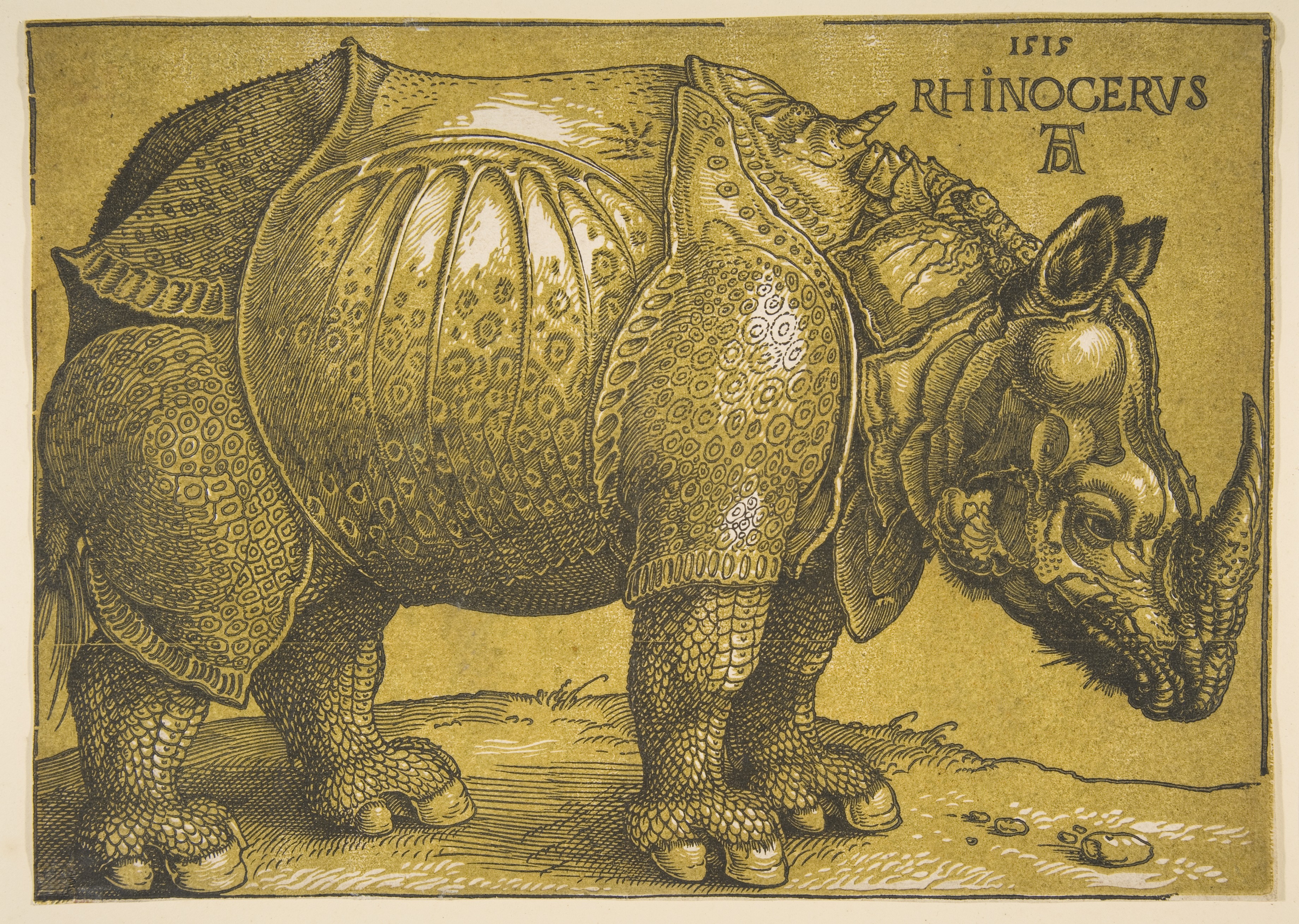 Albrecht Dürer The Rhinoceros The Metropolitan Museum of Art