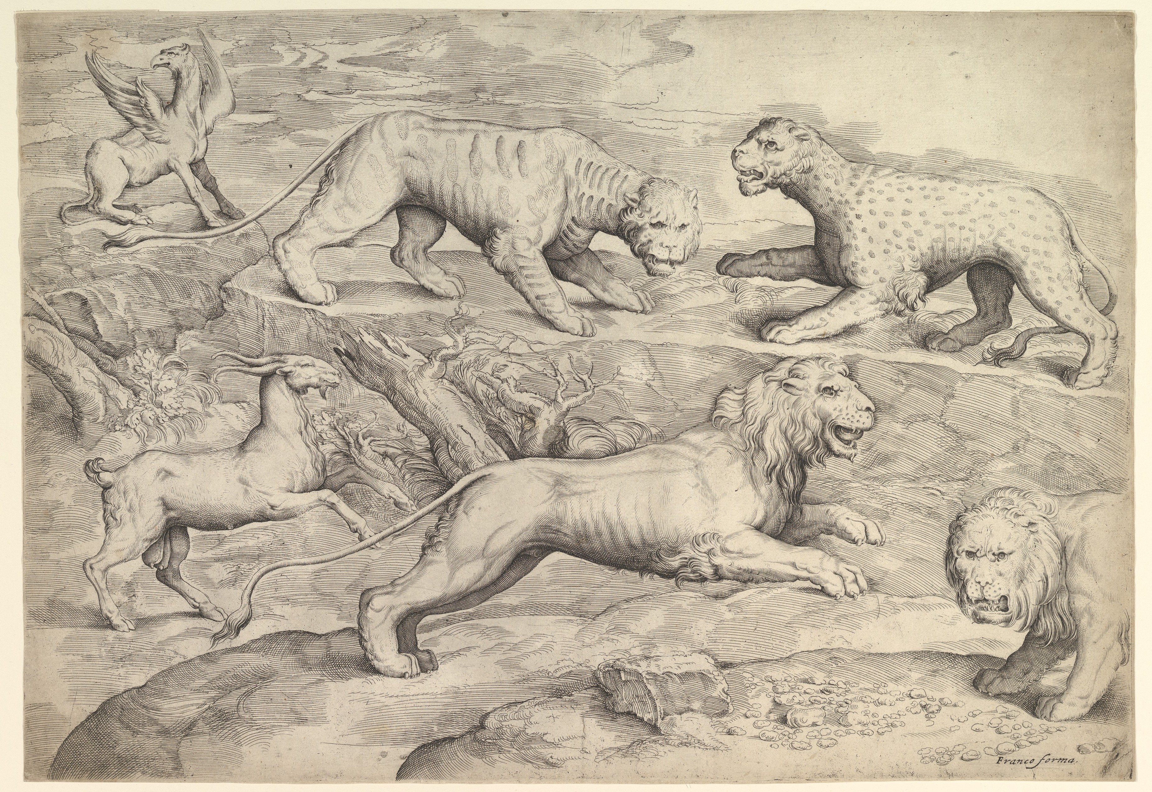 Battista Franco | Six Animals, including lions, a tiger, a leopard, a  griffin, and a goat | The Metropolitan Museum of Art