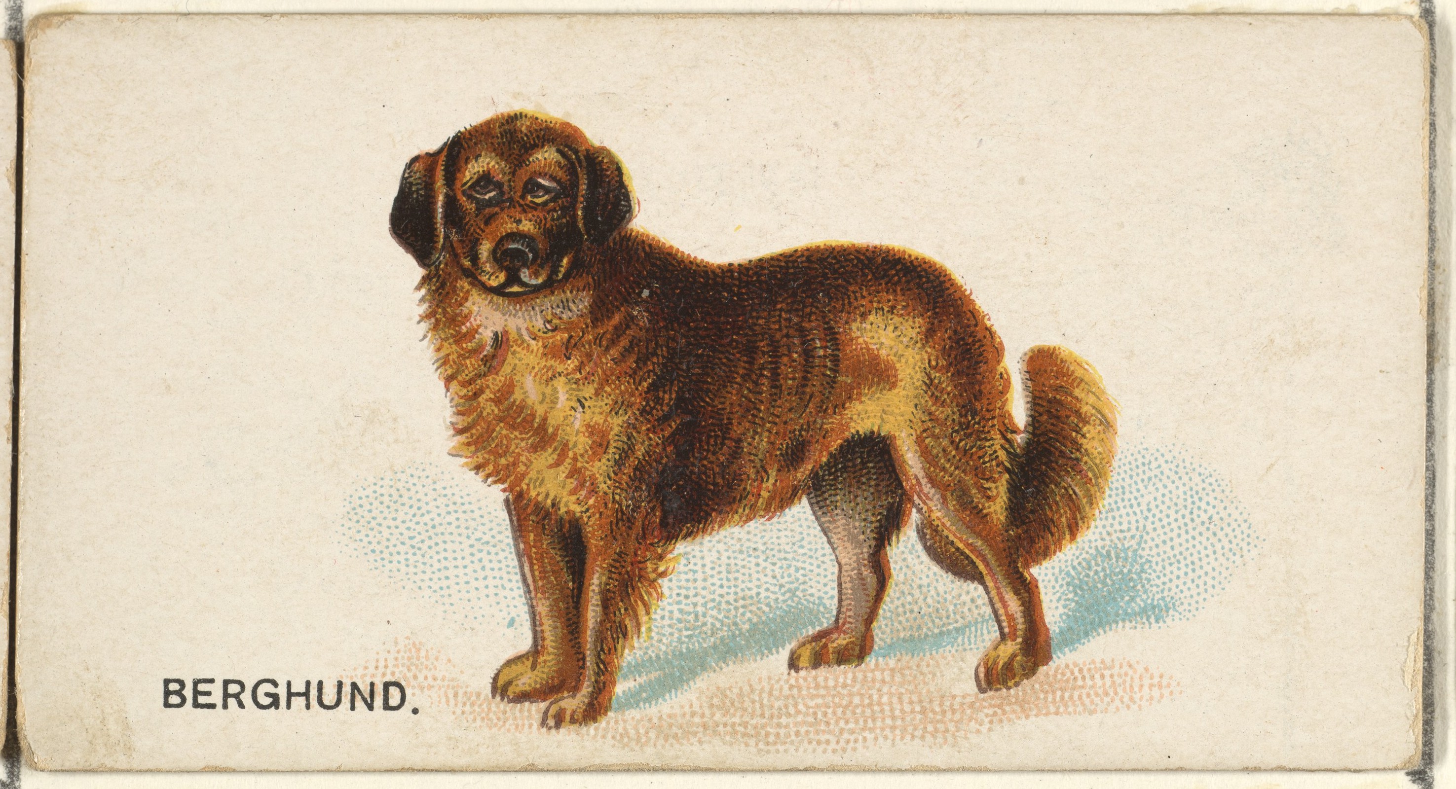 アメリカ製 ブリキ看板 Old Judge Tobacco 犬 ビンテージ アメリカ製 ブリキ看板 Old Judge Tobacco 犬 ビンテージ Retro Old