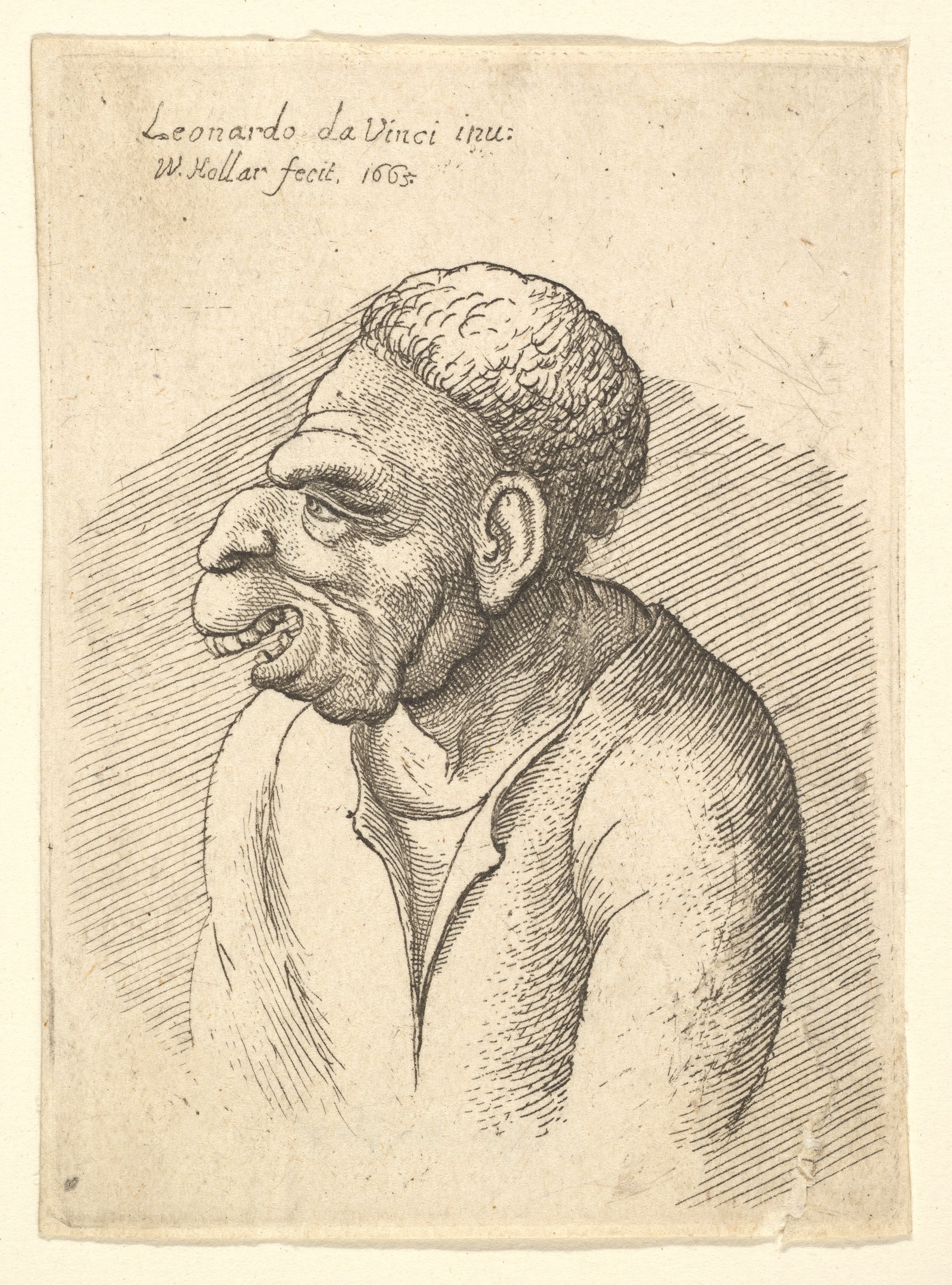 Wenceslaus Hollar | Bust of a man with hooked nose, prominent upper lip,  open mouth and thick, short curly hair resembling wig in profile to left |  The Metropolitan Museum of Art