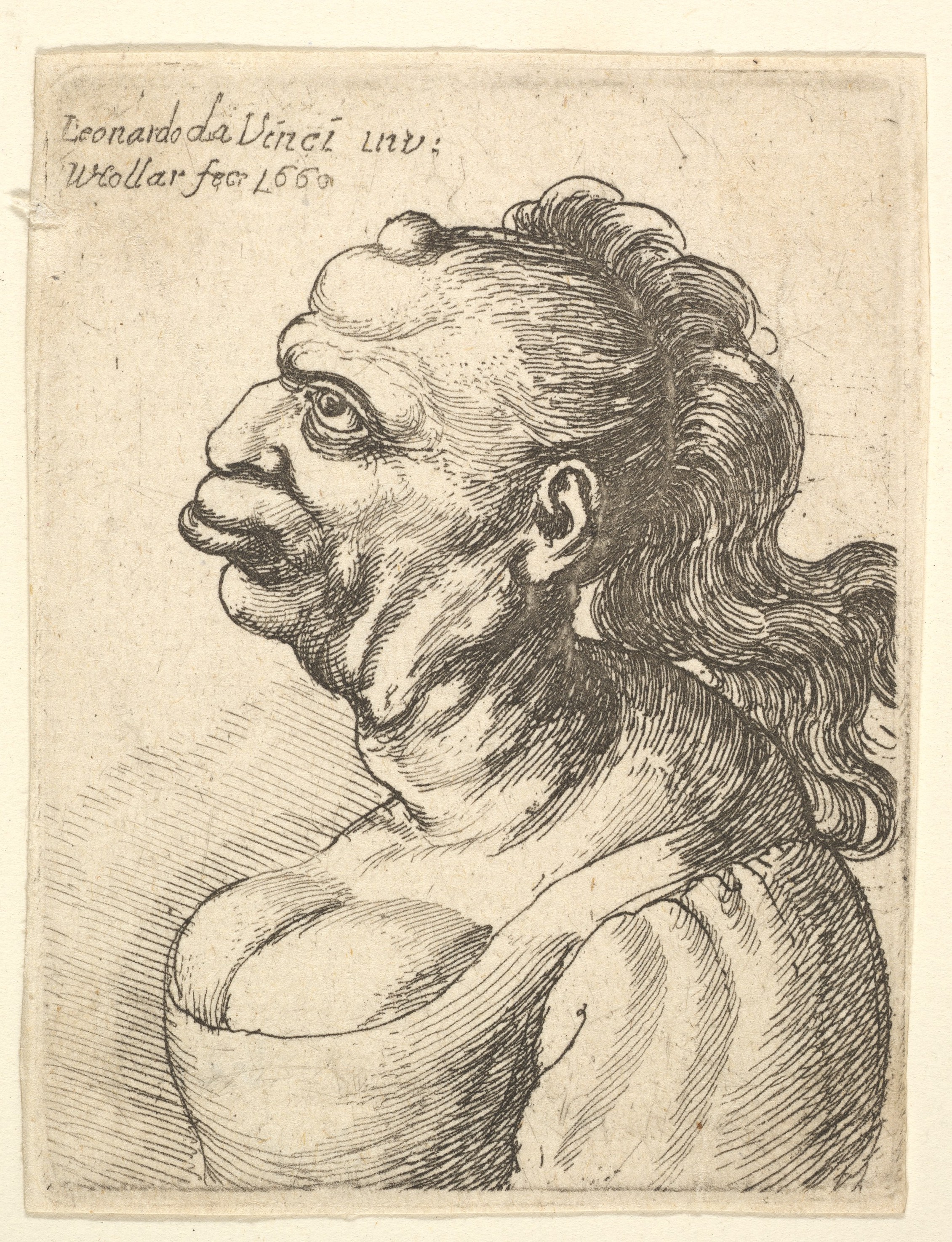 Wenceslaus Hollar, Bust of a woman wearing low-cut dress, with protruding  lipd, growth on her forehead, prominent breast, long flowing hair down her  back, in profile to left.