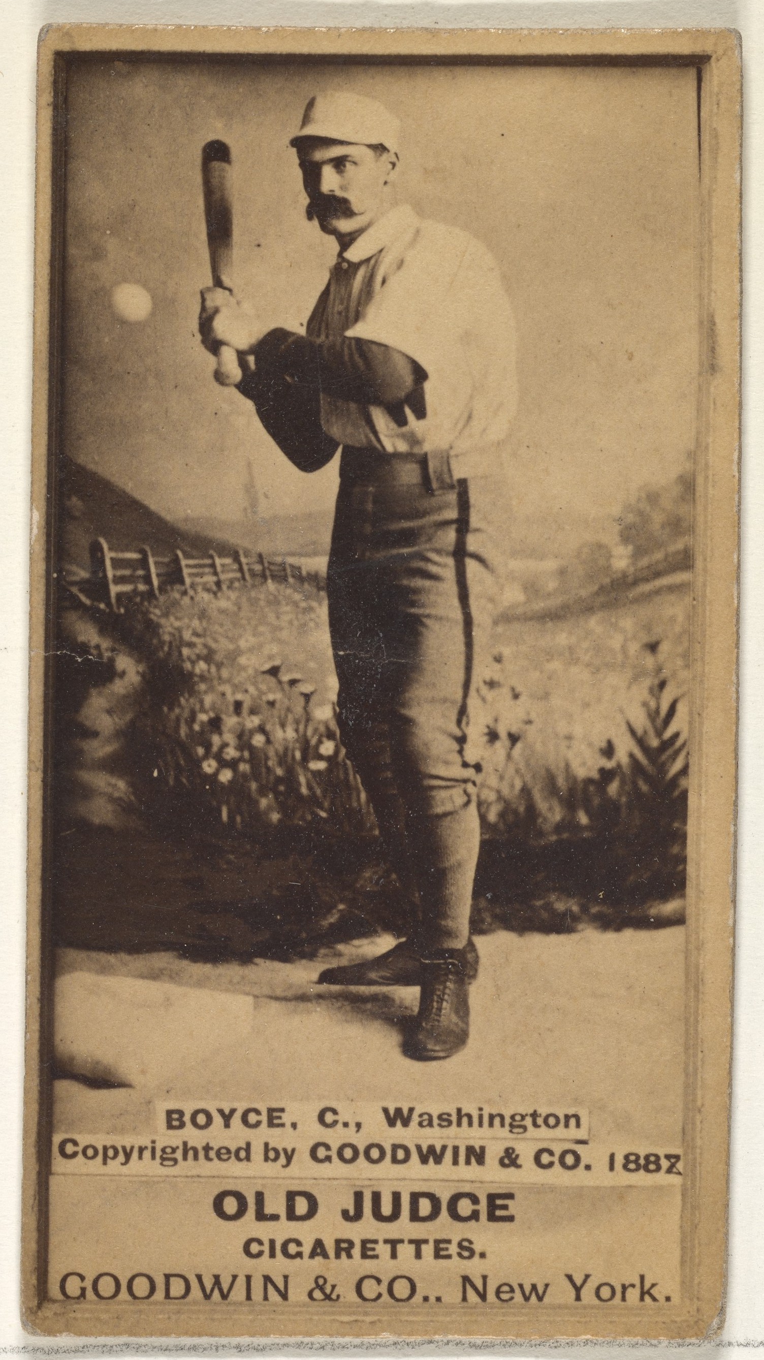 Goodwin & Company, Boyce, Catcher, Washington, from the Old Judge series (N172) for Old Judge Cigarettes