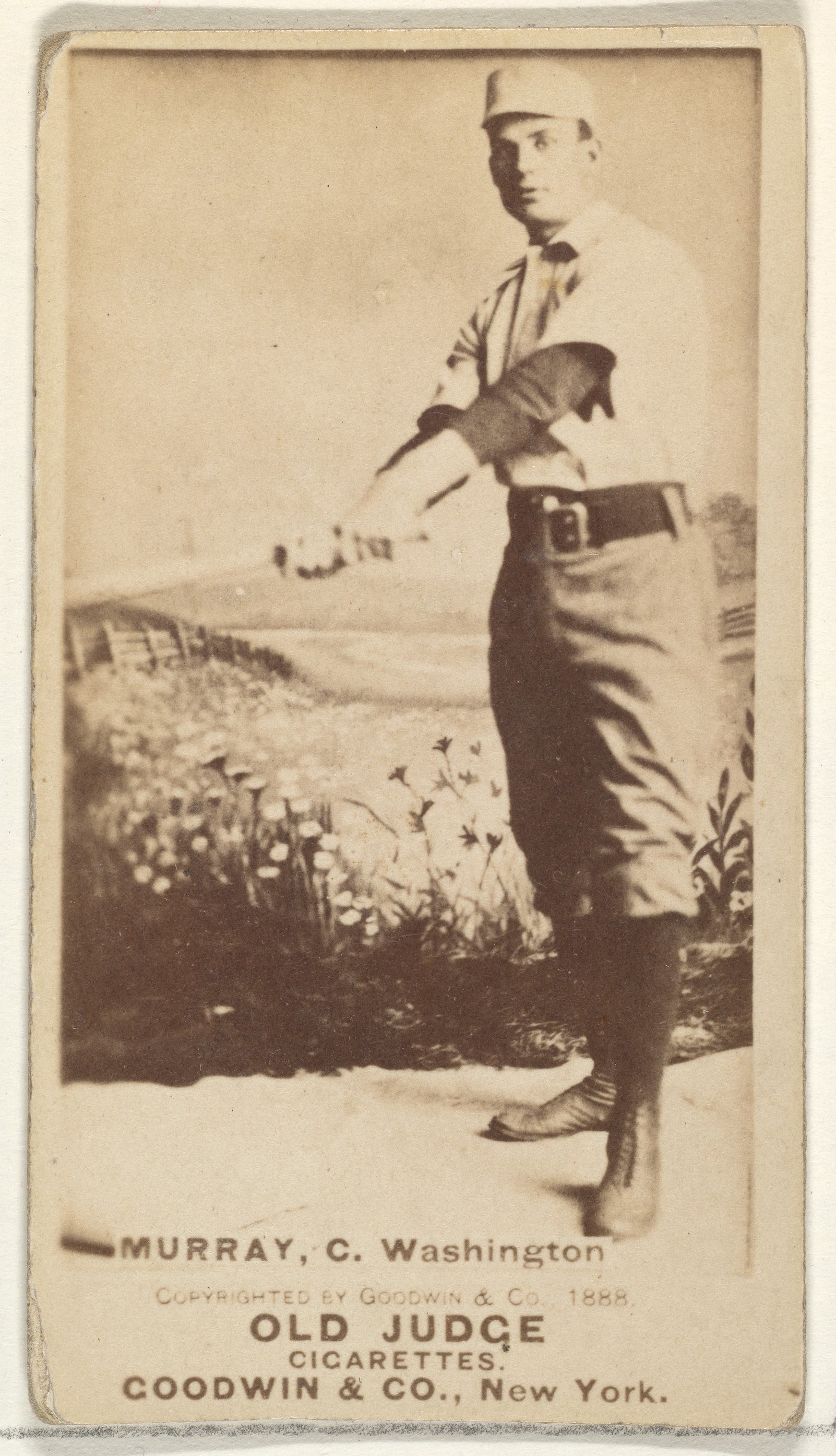Goodwin & Company, Jeremiah J. "Miah" Murray, Catcher, Washington Nationals, from the Old Judge series (N172) for Old Judge Cigarettes