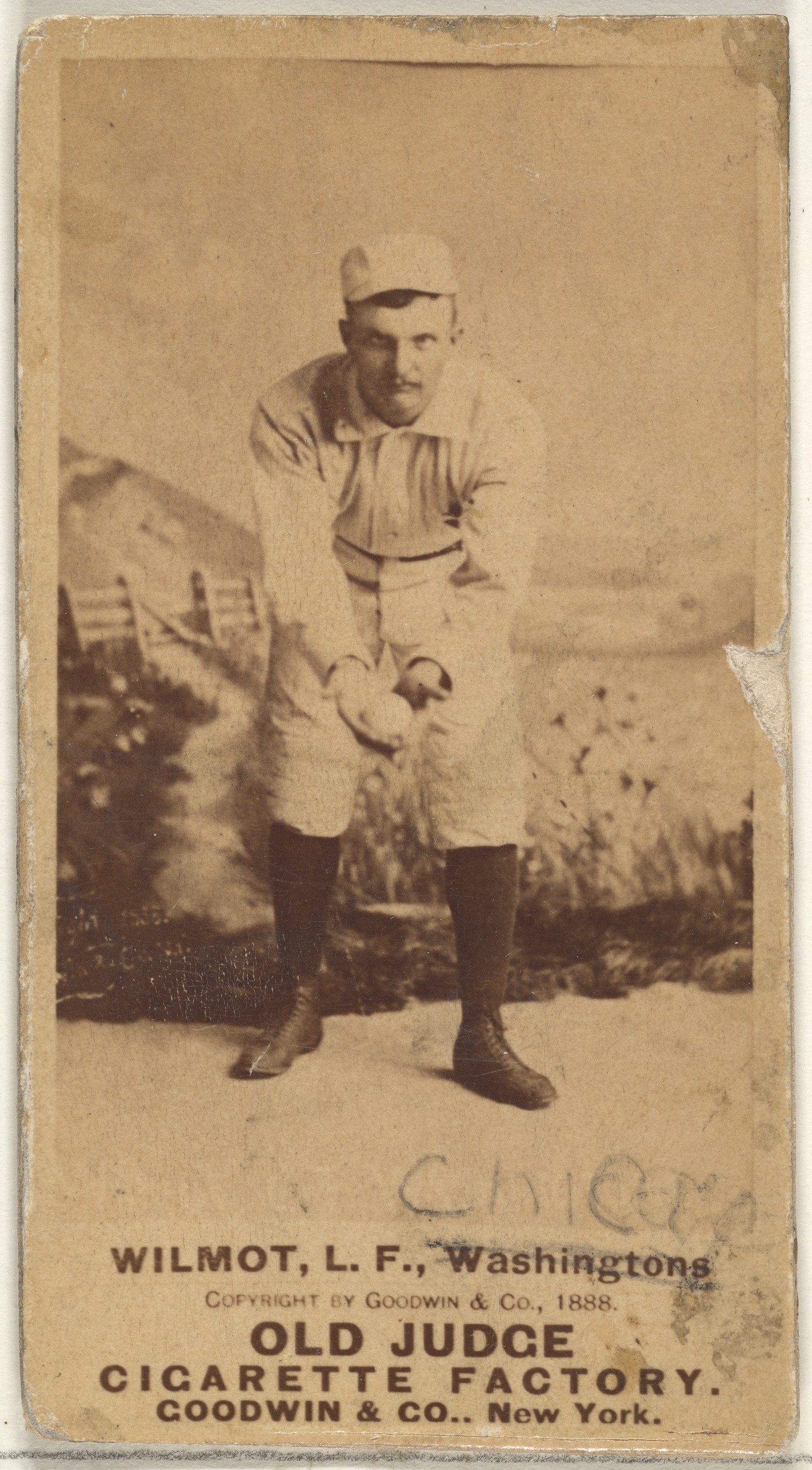 Goodwin & Company, Walter Robert "Walt" Wilmot, Left Field, Washington Nationals, from the Old Judge series (N172) for Old Judge Cigarettes