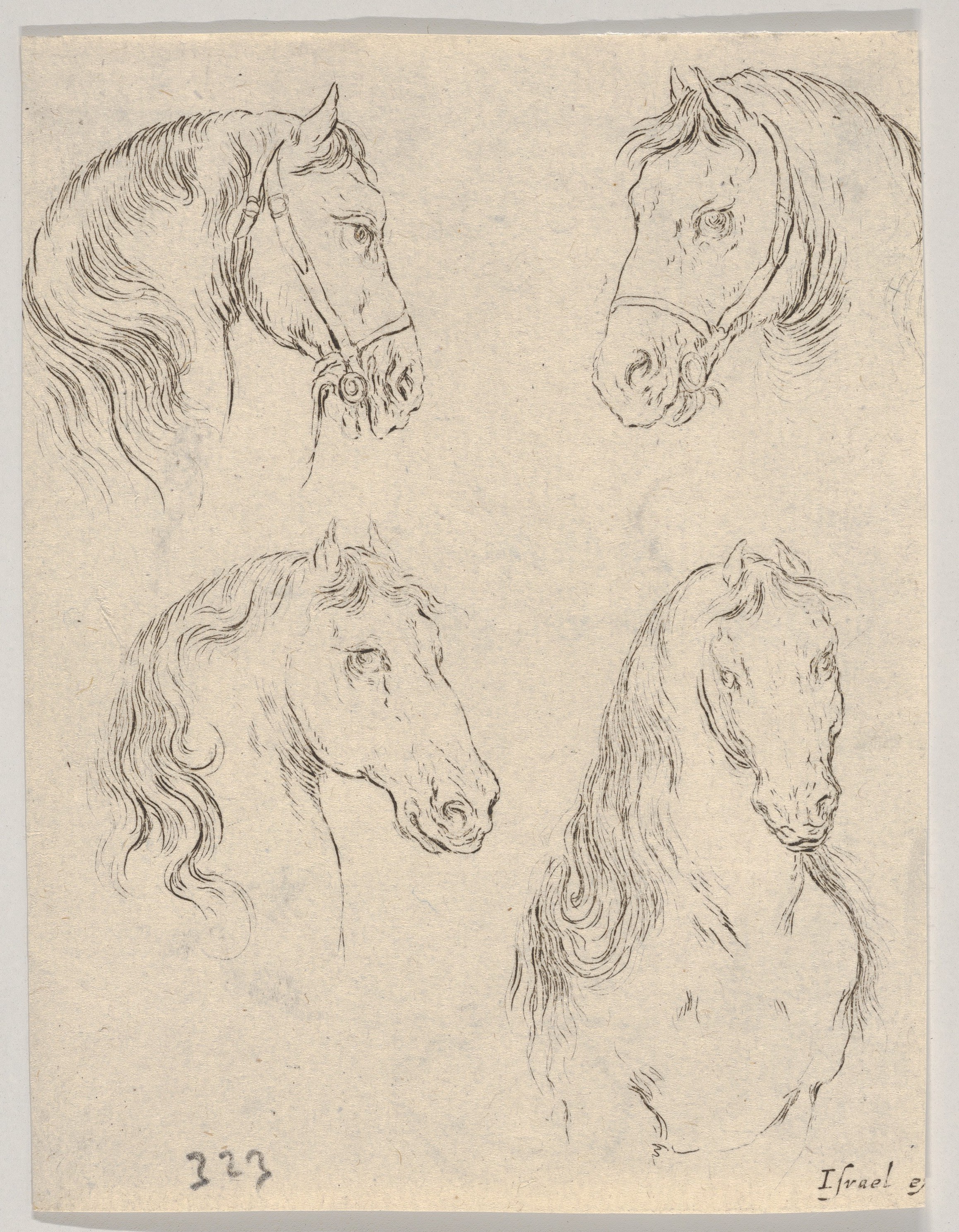 Plate 16: four studies of horse heads, from 'Various heads and figures' (Diverses têtes et figures)