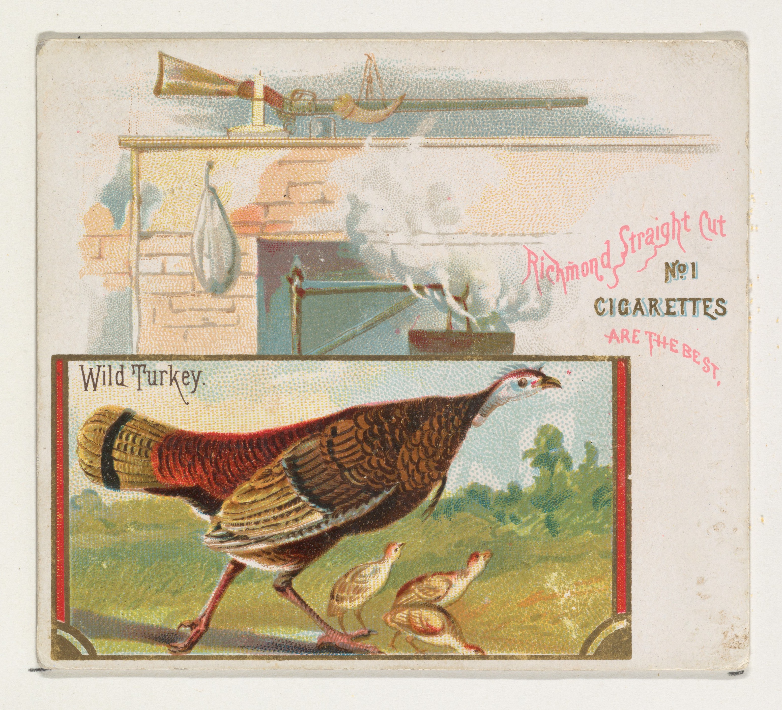 Issued by Allen & Ginter | Wild Turkey, from the Game Birds series (N40 ...