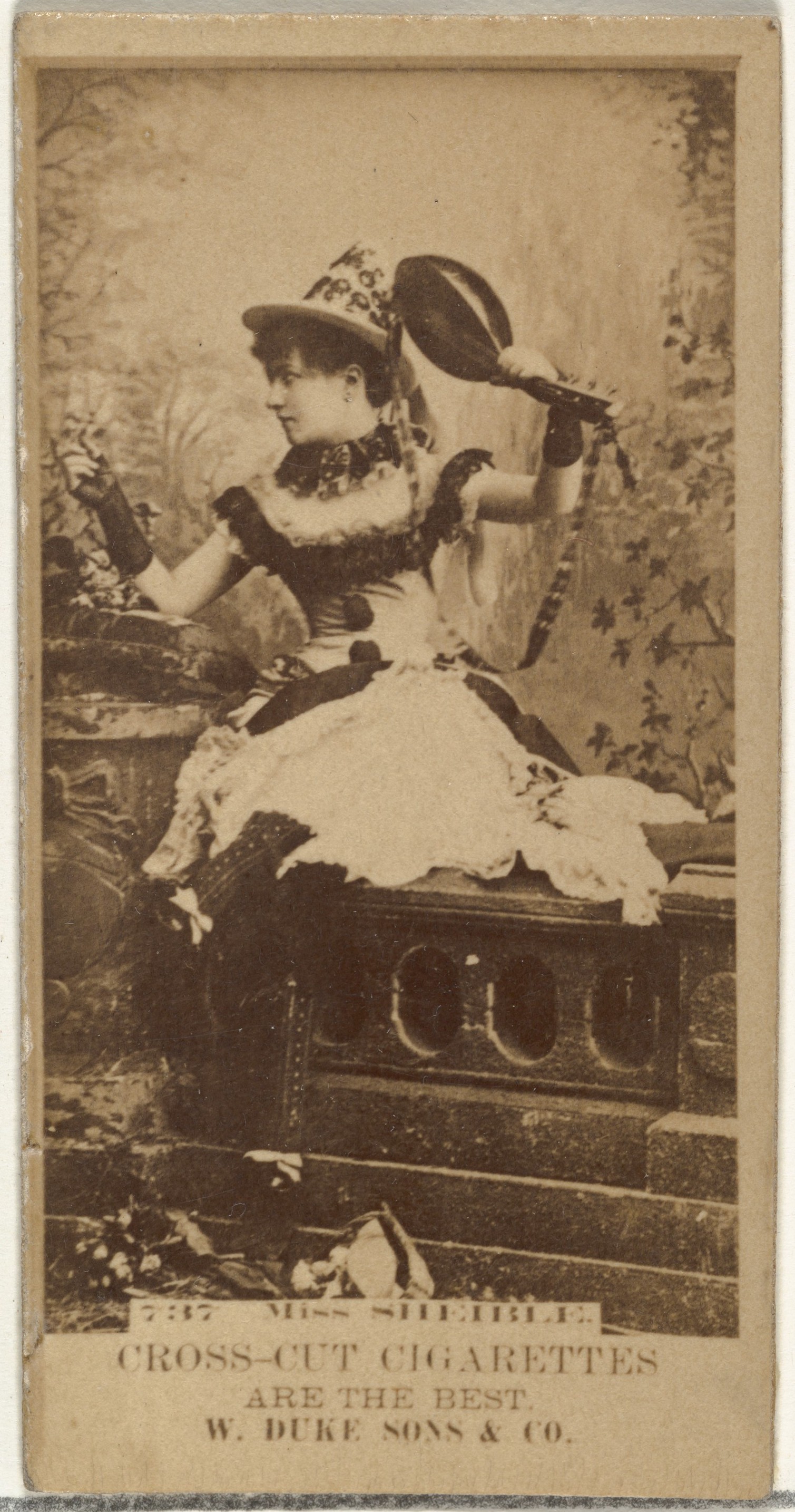 Card Number 737, Miss Sheible, from the Actors and Actresses series (N145-3) issued by Duke Sons & Co. to promote Cross Cut Cigarettes