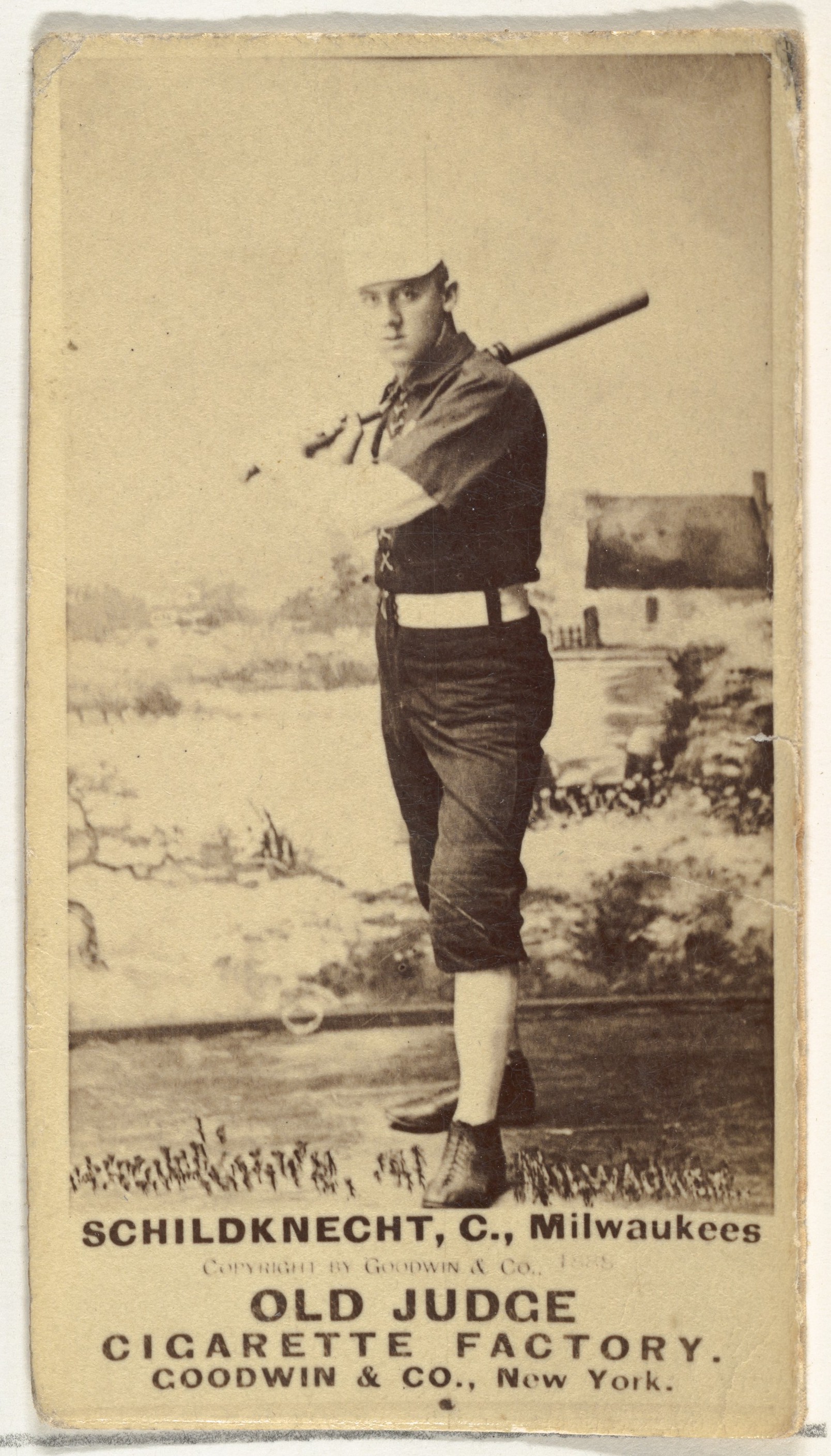 Goodwin & Company, Schildknecht, Catcher, Milwaukee, from the Old Judge series (N172) for Old Judge Cigarettes