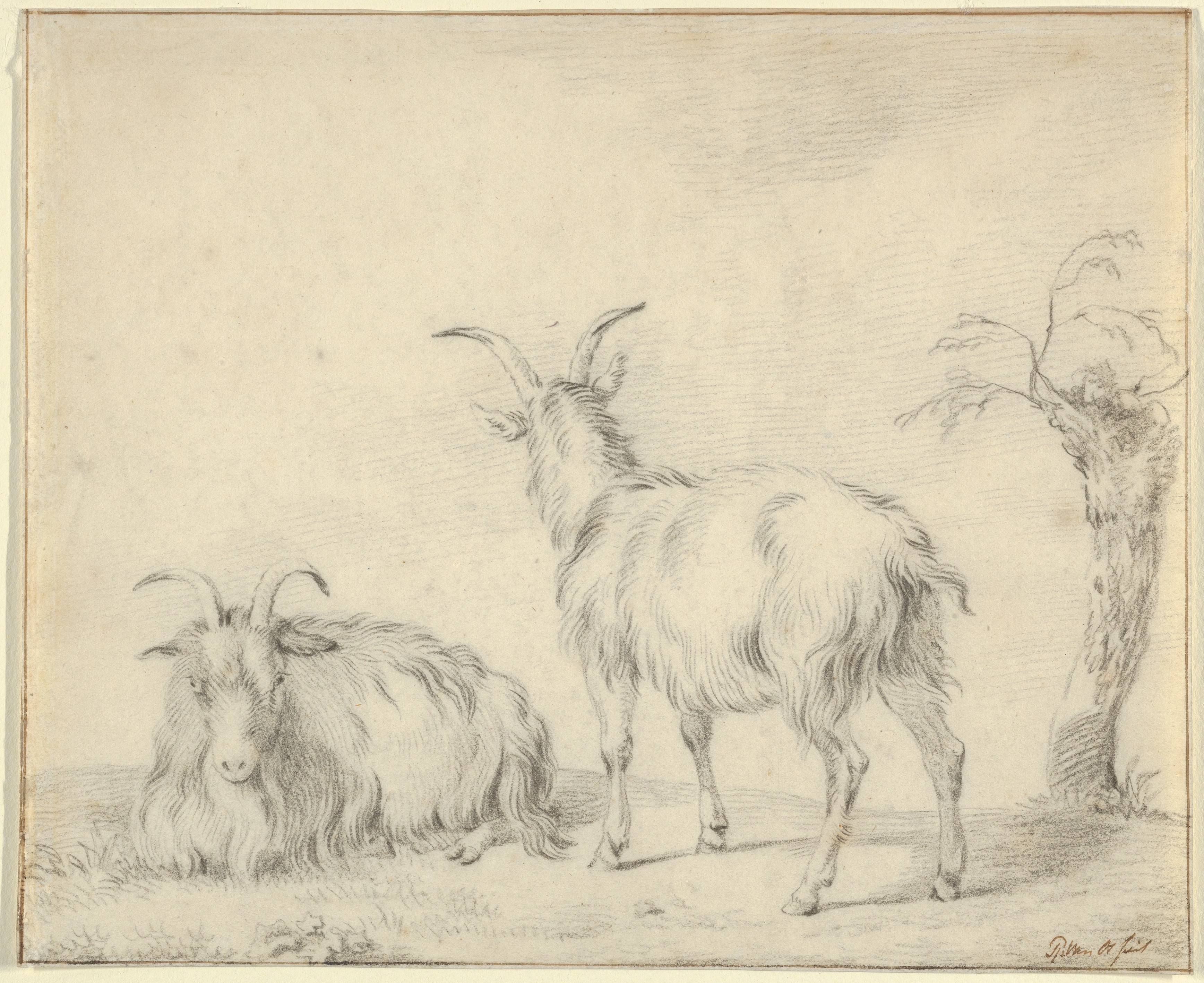 Pieter Gerardus van Os | A Standing and a Lying Goat Near a Small Tree ...