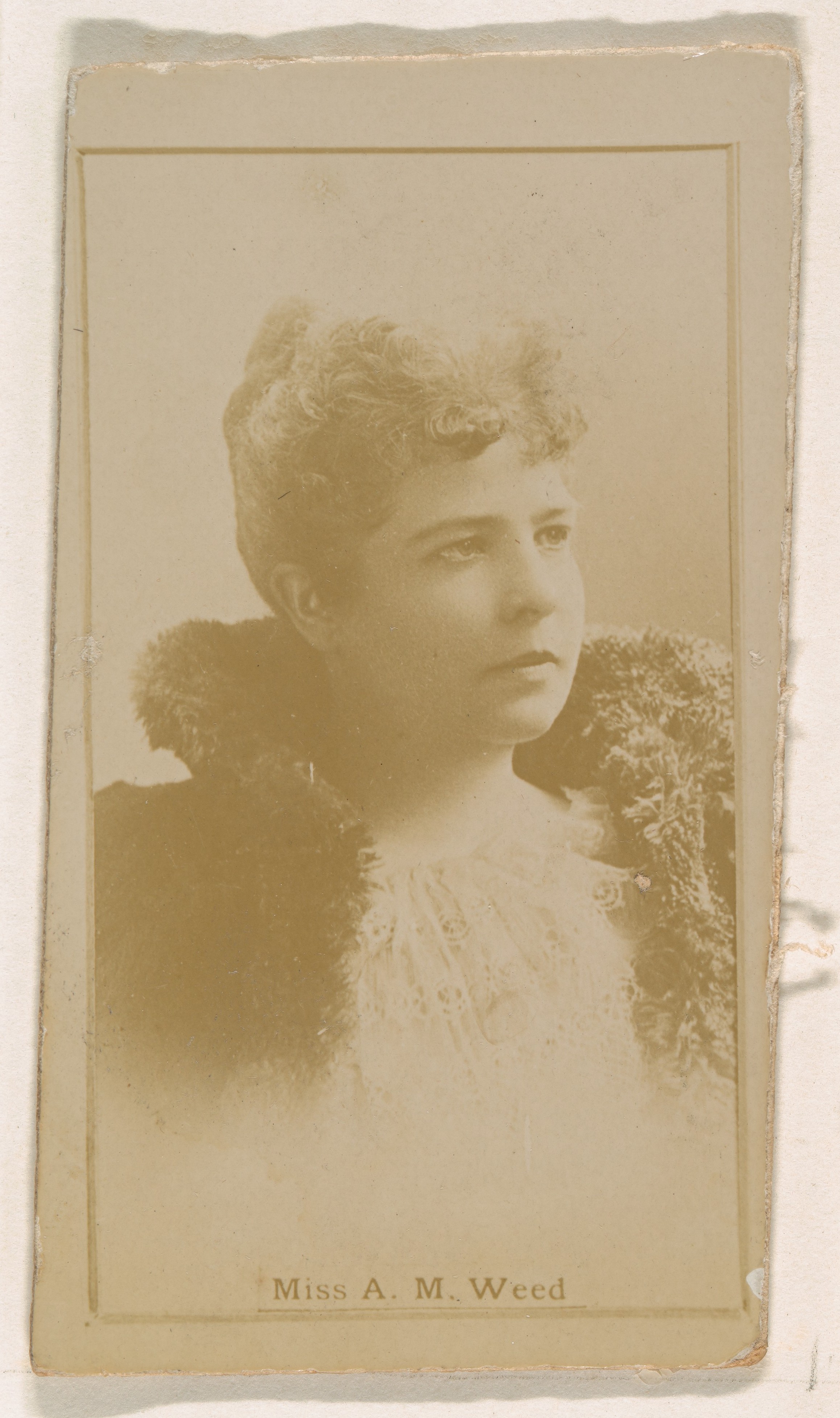 Kinney Brothers Tobacco Company, Miss A.M. Weed, from the Actresses series (N245) issued by Kinney Brothers to promote Sweet Caporal Cigarettes