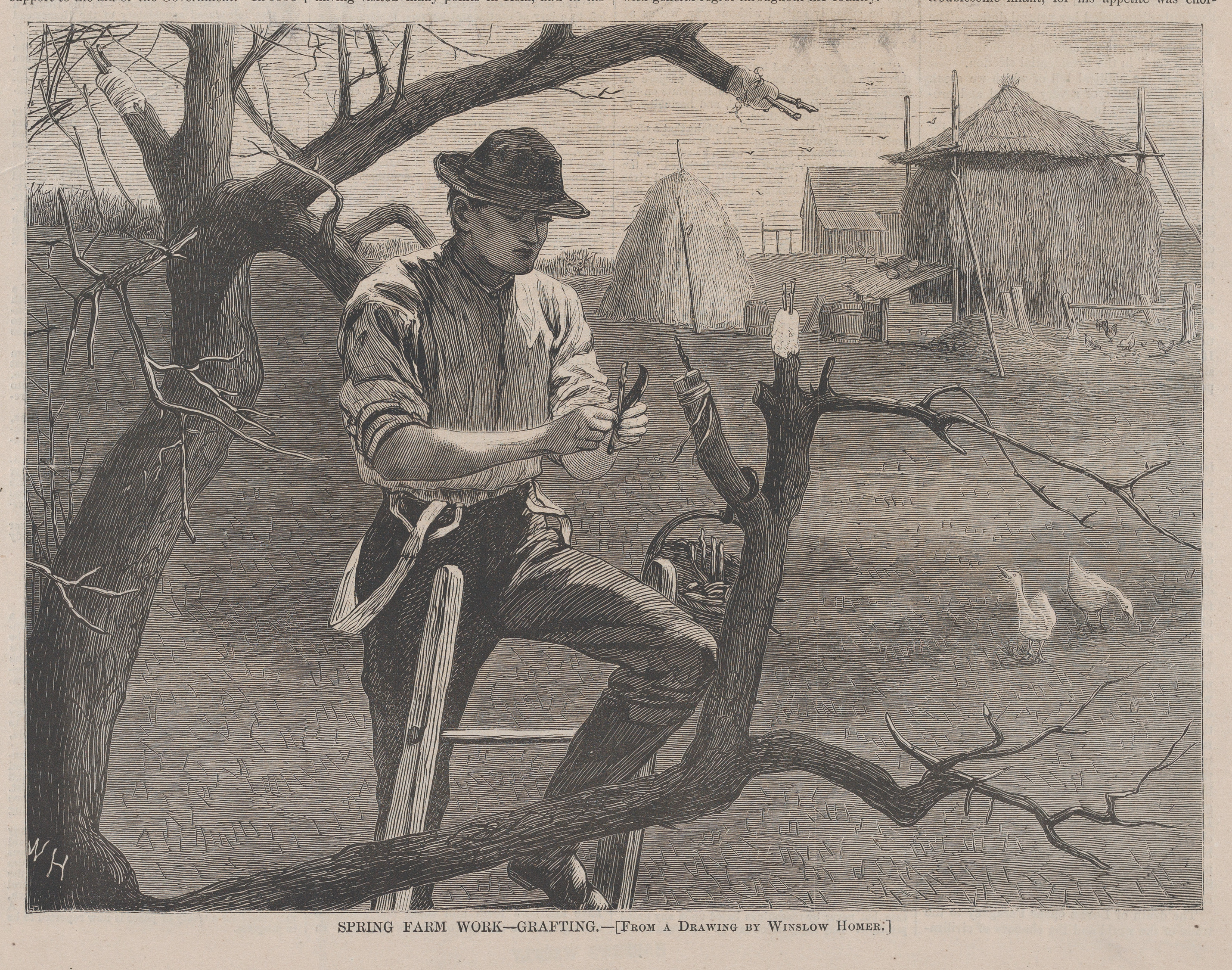 After Winslow Homer | Spring Farm Work – Grafting (from 