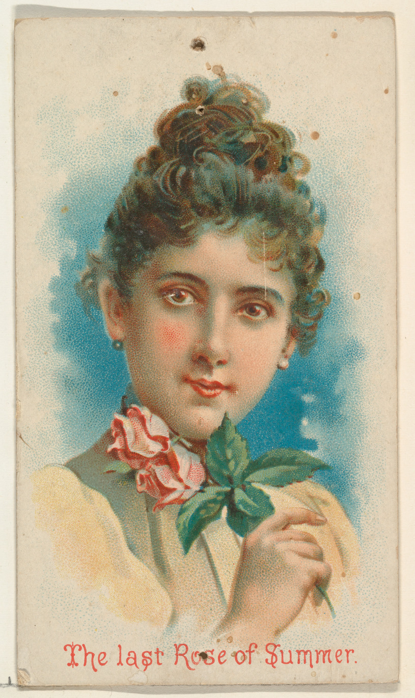 Issued by W. Duke, Sons & Co. | The Last Rose of Summer, from the  Illustrated Songs series (N116) issued by W. Duke, Sons & Co. to promote  Honest Long Cut Tobacco |