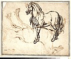 Study of a Horse (recto); Study of a Standing Horse (verso), Jacques Callot (French, Nancy 1592–1635 Nancy), Quill and reed pen and iron gall ink; minor evidence of leadpoint or graphite tracing of the standing horse visible on the recto