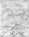 Study of an Old Tree, Gillis Neyts (Flemish, Overijse 1623–1687 Antwerp), Pen and brown ink