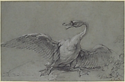 Angry Swan, Jean-Baptiste Oudry (French, Paris 1686–1755 Beauvais), Black and white chalk on blue paper