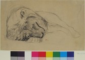 The Head of a Recumbent Lion, Attributed to Pierre Andrieu (French, 1821–1892), Black chalk on wove paper