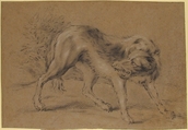 Angry Dog, Jean-Baptiste Oudry  French, Black chalk, heightened with white on brownish paper