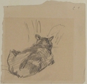 A Cat Resting on All Fours, Seen from Behind, Edouard Manet (French, Paris 1832–1883 Paris), Graphite