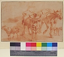 Animal Studies, Nicolaes Berchem (Dutch, Haarlem 1621/22–1683 Amsterdam), Red chalk
