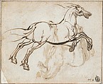 Study of a Horse (recto); Study of a Standing Horse (verso), Jacques Callot (French, Nancy 1592–1635 Nancy), Quill and reed pen and iron gall ink; minor evidence of leadpoint or graphite tracing of the standing horse visible on the recto