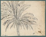 Study of a Palm Tree (recto); Mountain Landscape (verso), Nicolas Poussin (French, Les Andelys 1594–1665 Rome), Pen and brown ink, over traces of black chalk (recto); pen and brown ink (verso)