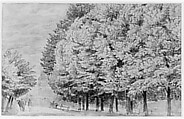 Large Forest (recto); A tree-lined lane with figure (verso), Attributed to Johannes Leupenius (Dutch, Amsterdam 1643–1693 Amsterdam), Pen and brown ink, brush and brown wash, white heightening. Verso: pen, brown ink and brown wash over black chalk