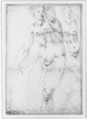 Studies for a Nude Woman Seen from the Front (recto); Four Standing Male Nudes, Venus, and Cupid (verso), Anonymous, Italian, Florentine, 16th century, Pen and brown ink