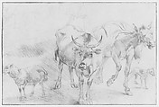 Animal Studies, Nicolaes Berchem (Dutch, Haarlem 1621/22–1683 Amsterdam), Red chalk