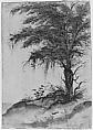 Study of a Tree, Marten van Valckenborch (Netherlandish, Leuven 1534–1612 Frankfurt am Main), Brush and black ink, gray wash, green, yellow, and brown watercolor, white, and green gouache. Traces of framing lines in pen and black ink