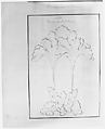 Design for a Tea Pot Removed from the Factory Record Book, Haviland & Co. (American and French, 1864–1931), Pen and ink and graphite