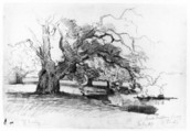 Landscape with Trees near a Pond, Willem Roelofs (Dutch, Amsterdam 1822–1897 Berchem), Pencil and black chalk