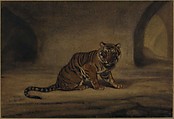 Tiger, Antoine-Louis Barye (French, Paris 1795–1875 Paris), Watercolor