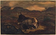 Bear Killing Bull, Antoine-Louis Barye (French, Paris 1795–1875 Paris), Watercolor on wove paper