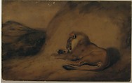 Lion Resting, Antoine-Louis Barye (French, Paris 1795–1875 Paris), Watercolor on wove paper, lined