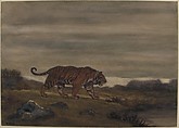Tiger Approaching Pool, Antoine-Louis Barye (French, Paris 1795–1875 Paris), Watercolor on wove paper