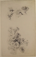 Studies of Flowers, Anonymous, French, 18th century, Graphite