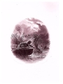 The Cooper Vignettes, James Fenimore Cooper American, Illustrations: engravings, india proofs