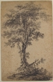 Study of a Tree, Attributed to Jean Pillement (French, Lyons 1728–1808 Lyons), Black chalk on beige paper