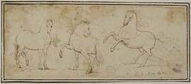 Horses, attributed to Francesco Allegrini (Italian, Cantiano (?) 1615/20–after 1679 Gubbio (?)), Pen and brown ink.  Framing lines in pen and brown ink on mount